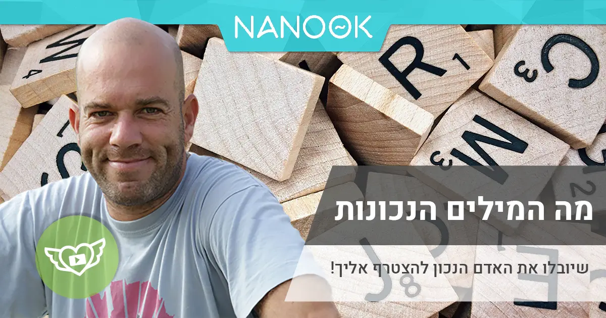 חקר מילות מפתח