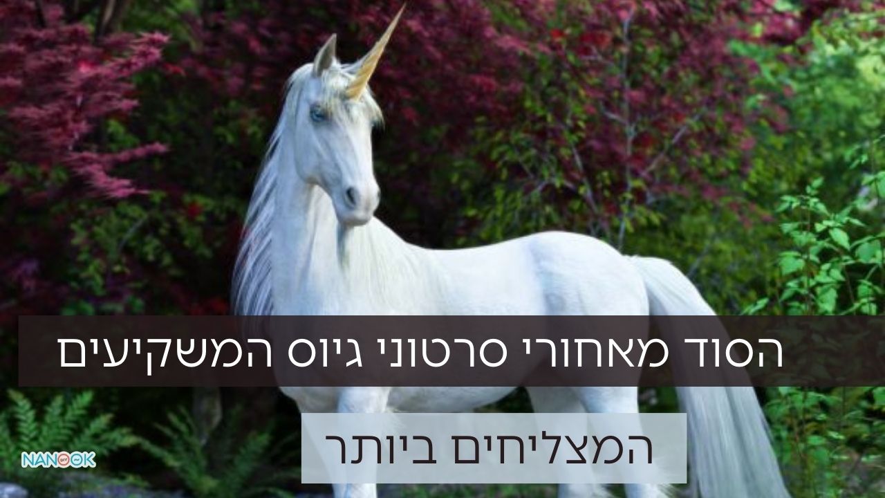 סרט גיוס משקיעים