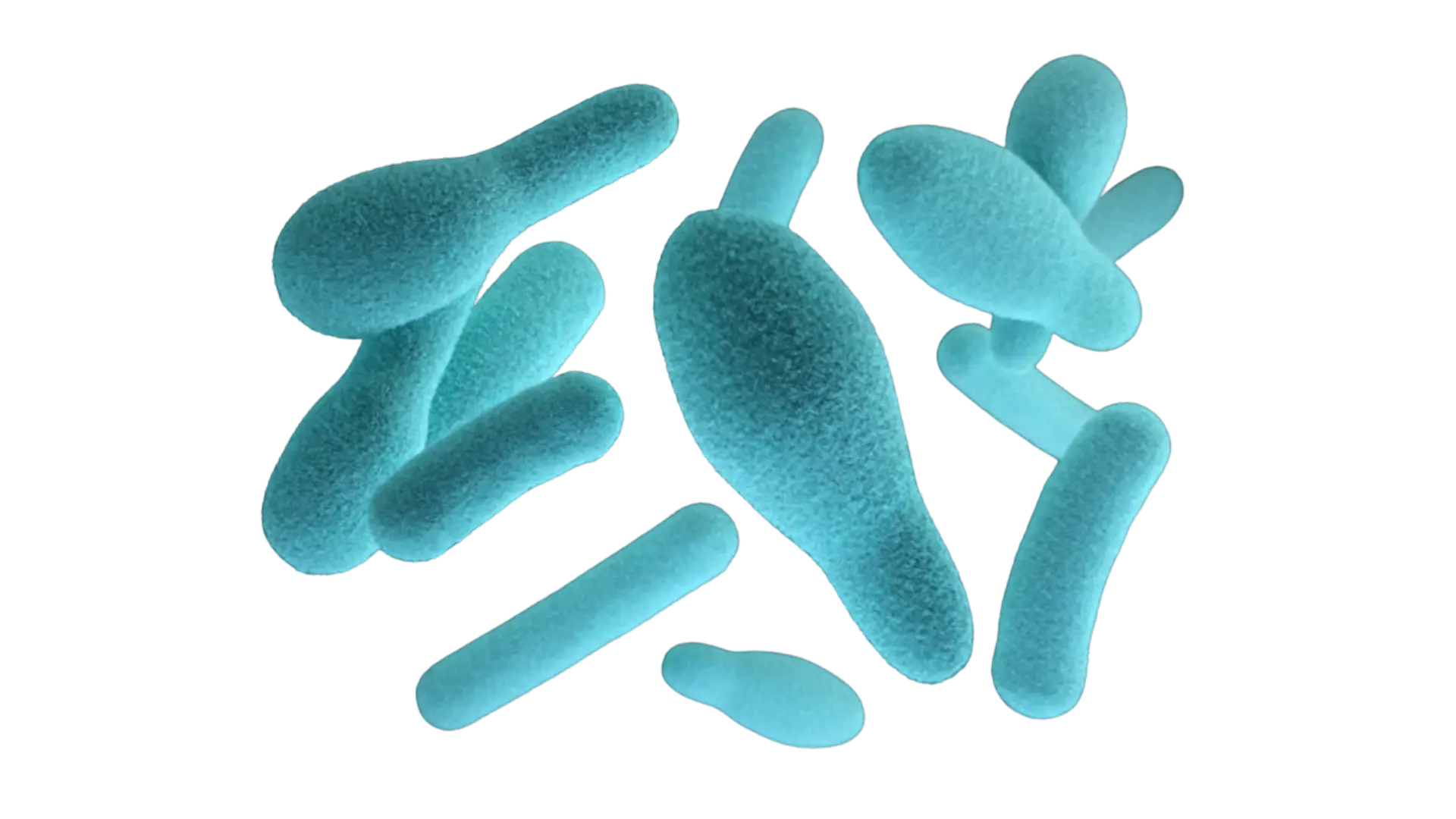 סרטון למשקיעים באנגלית