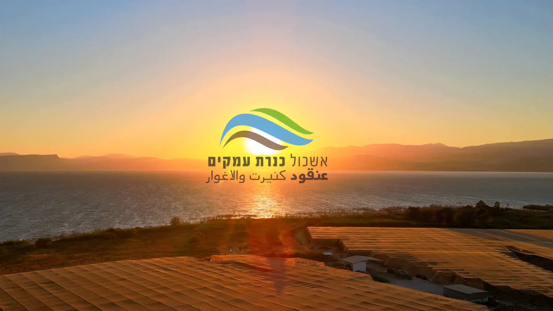 סרטי תדמית